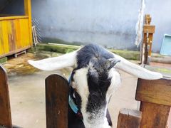 -瑞博尔花园酒店(太周创新产业园店)