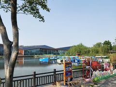 -上海长兴岛郊野公园