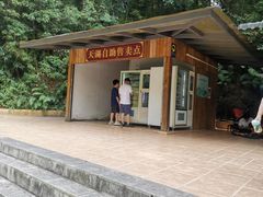 -广州市帽峰山景区