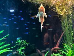 -上海海洋水族馆