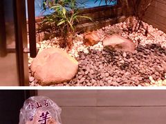 -台北北投丽禧温泉酒店