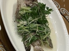 -甄御•海鲜新青岛菜(麦岛店)