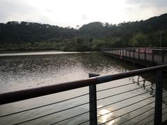 -飞凤山奥体公园