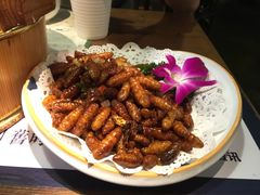 -拾叁唐Livehouse(佛山禅城店)