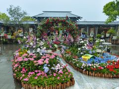 -苏州上方山国家森林公园