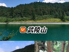 -武陵山森林公园
