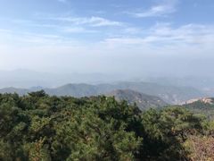 -鲁山国家森林公园