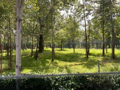 -秦皇岛野生动物园