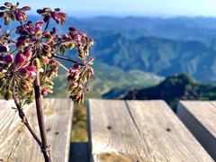 -白草畔自然风景区