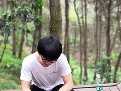 -铁山坪森林公园