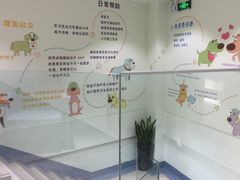 -瑞派申生动物医院·24H夜诊·国际动物医疗中心·骨外科(吴中路店)