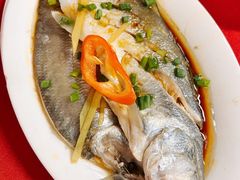 -蛇口康乐快餐鱼仔档(翠苑小区店)