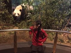 -陕西自然博物馆