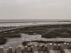 -南汇嘴观海公园