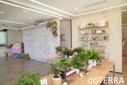 点击看大图 -dōTERRA多特瑞精油生活馆