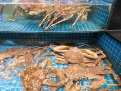 -新阿布海鲜大酒店