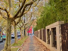 -一尺花园(安和花园店)