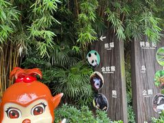 -成都动物园
