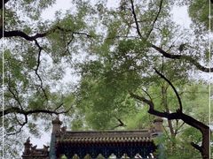 -北京国子监胡同