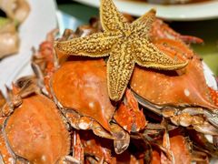 -悦海·家宴·冰花皮皮虾大锅贴(宝龙店)