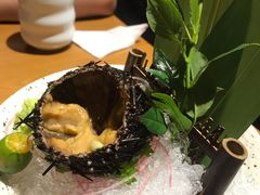 活海胆刺身（限量）-渔寿司·日本料理(艾尚天地店)