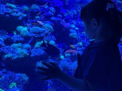 -太平洋海底世界