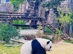 -灵玲国际马戏城