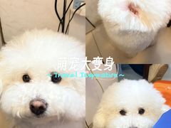 -科道动物医院·急重症中心(万达院)