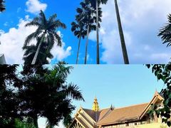 -西双版纳原始森林公园