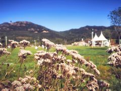 -潭柘厚院&山顶烤肉(潭柘寺店)