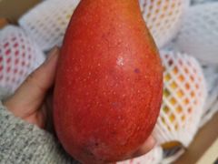 -上海龙吴水胜海发市场