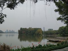 -顺峰山公园