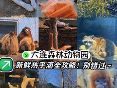 -大连森林动物园