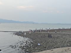 -杨梅坑