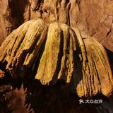 78的门票真的不贵，超值。感应洞在统景温泉景区里面