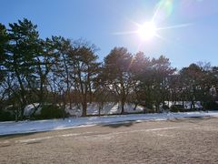 -名古屋城