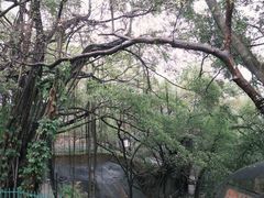 -乌山风景区