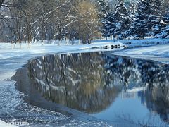 -长白岛森林公园