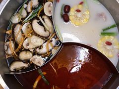 猪肚鸡汤锅-青瓷火锅料理(西单大悦城店)