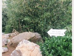 -莫内艺术岛海景咖啡