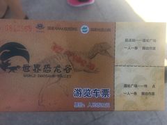 -世界恐龙谷景区