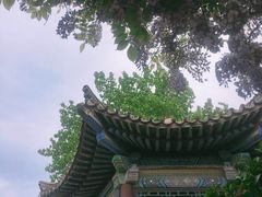 -刘公岛景区