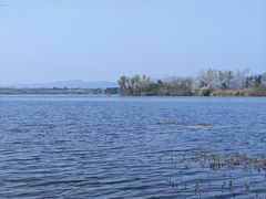 -三岔湖高家庄农家乐烤全羊柴火鸡翘壳鱼(三岔湖店)