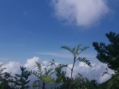 -尧山风景区