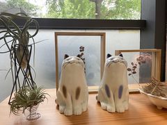 -猫里有甜