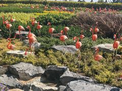 -东芭乐园