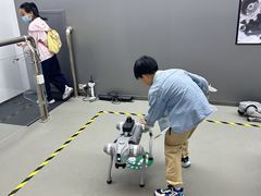 -徐州博物馆