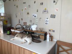 -灯塔咖啡馆BOOK·Coffee Shop