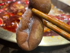 肥肠节子-小龙坎老火锅(工体店)