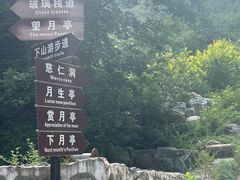 -白水寺森林公园